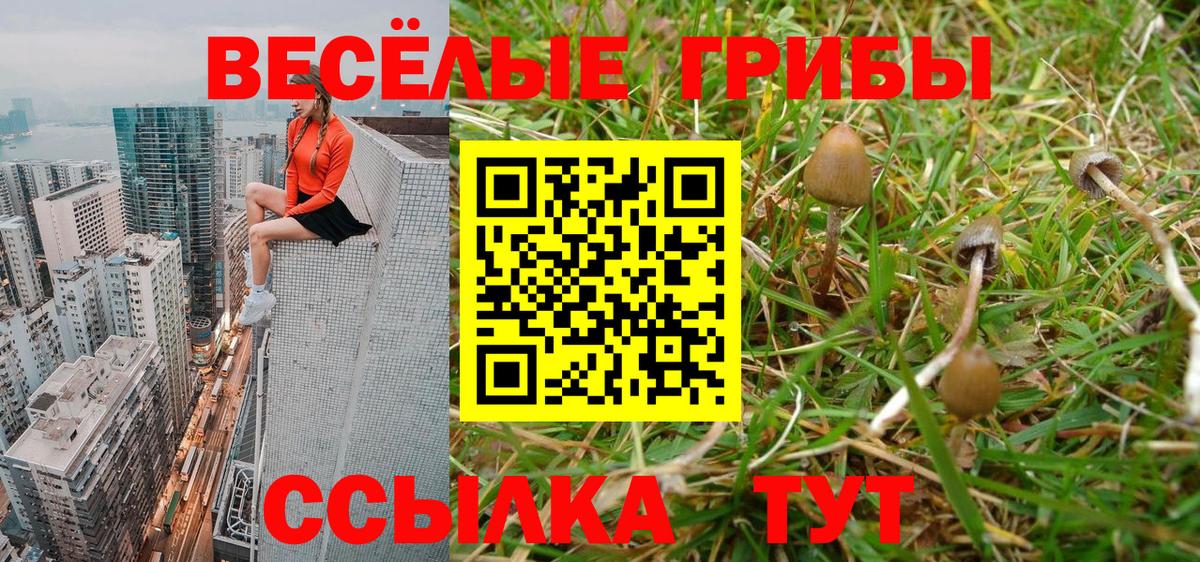 Алапаевск  где можно купить   Вход с VPN  Галлюциногенные грибы Psilocybe 